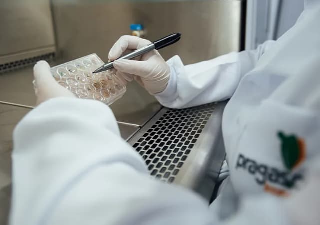 Bioensaios e Coleta Bioensaios e Coleta